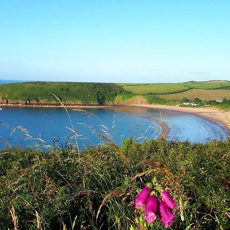 A Beach Holiday In Pembrokeshire Экстерьер фото